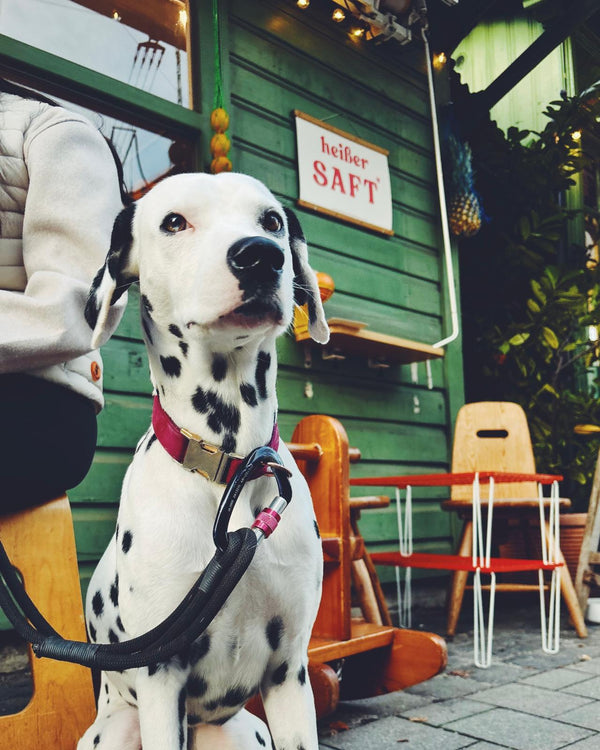 Saftstandl Instagram Post